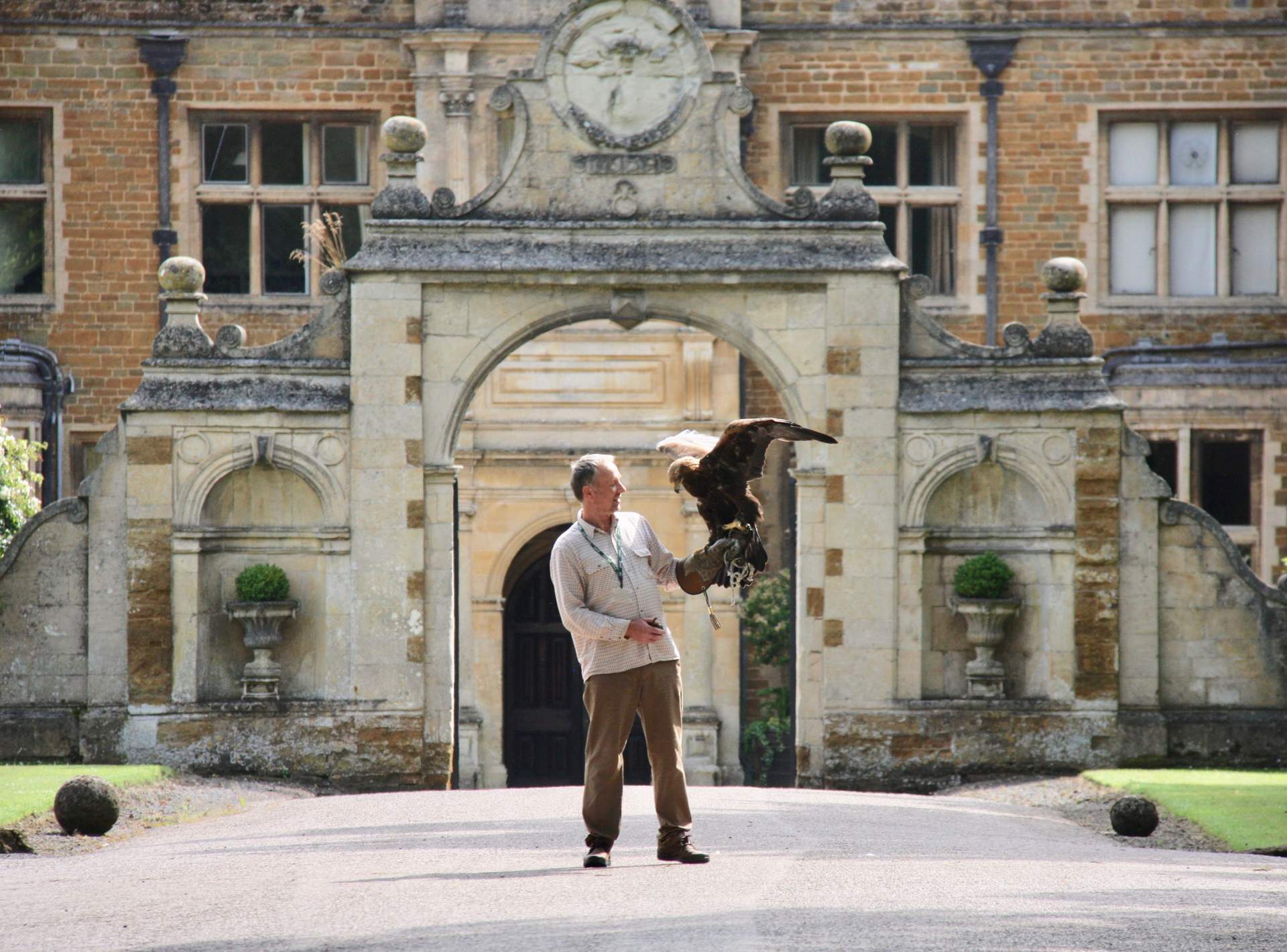 Icarus - Dave Banner