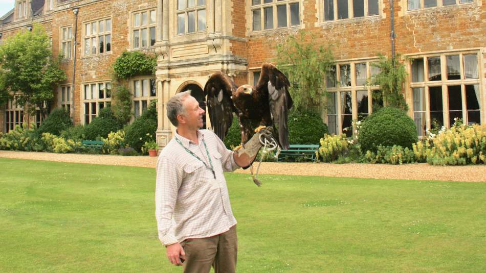 Gardens/Falconry Image