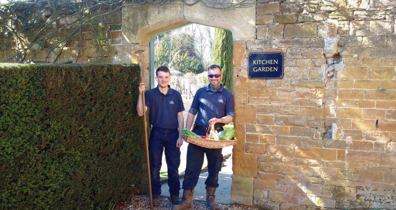 Something special Image