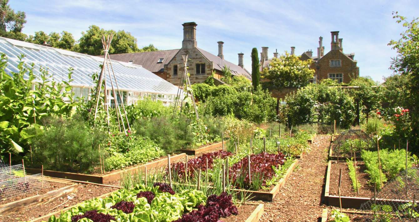 Kitchen Garden Image