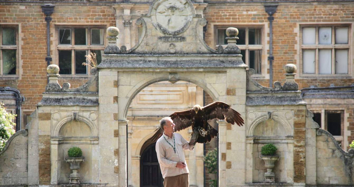 Icarus Falconry Centre Image
