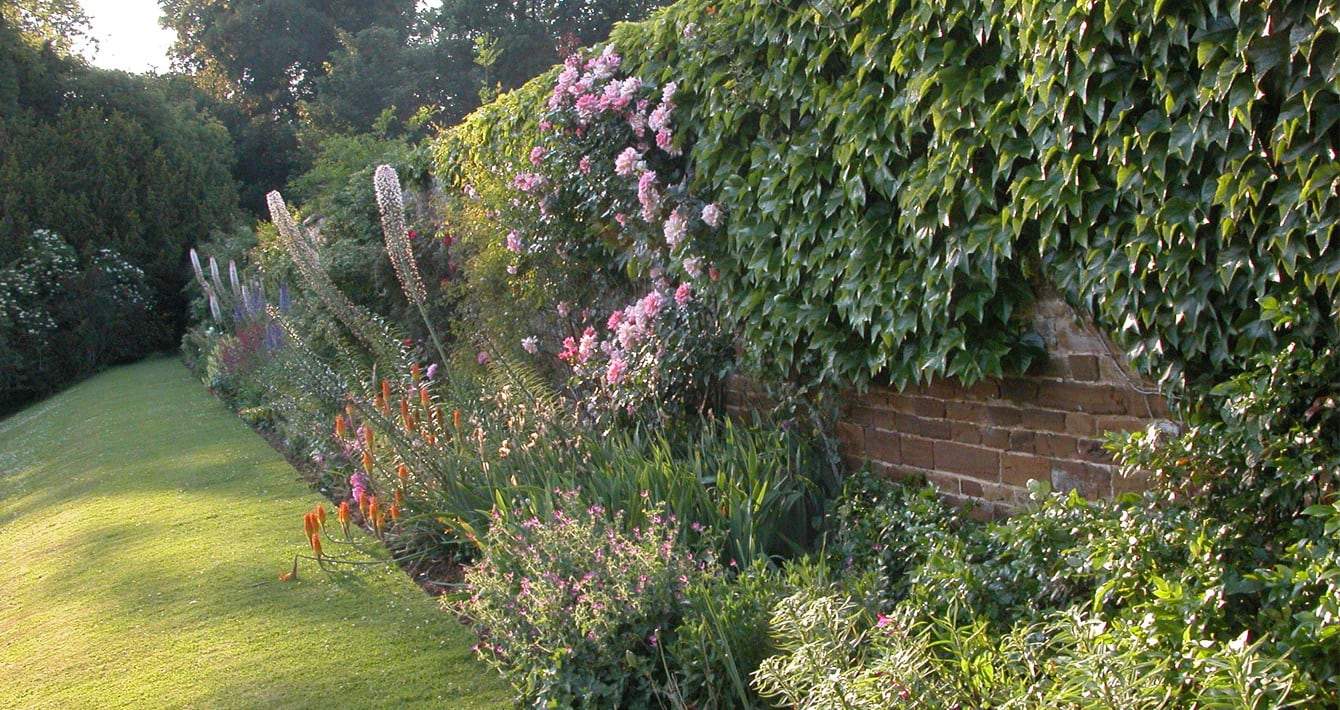 King Charles' Walk Image