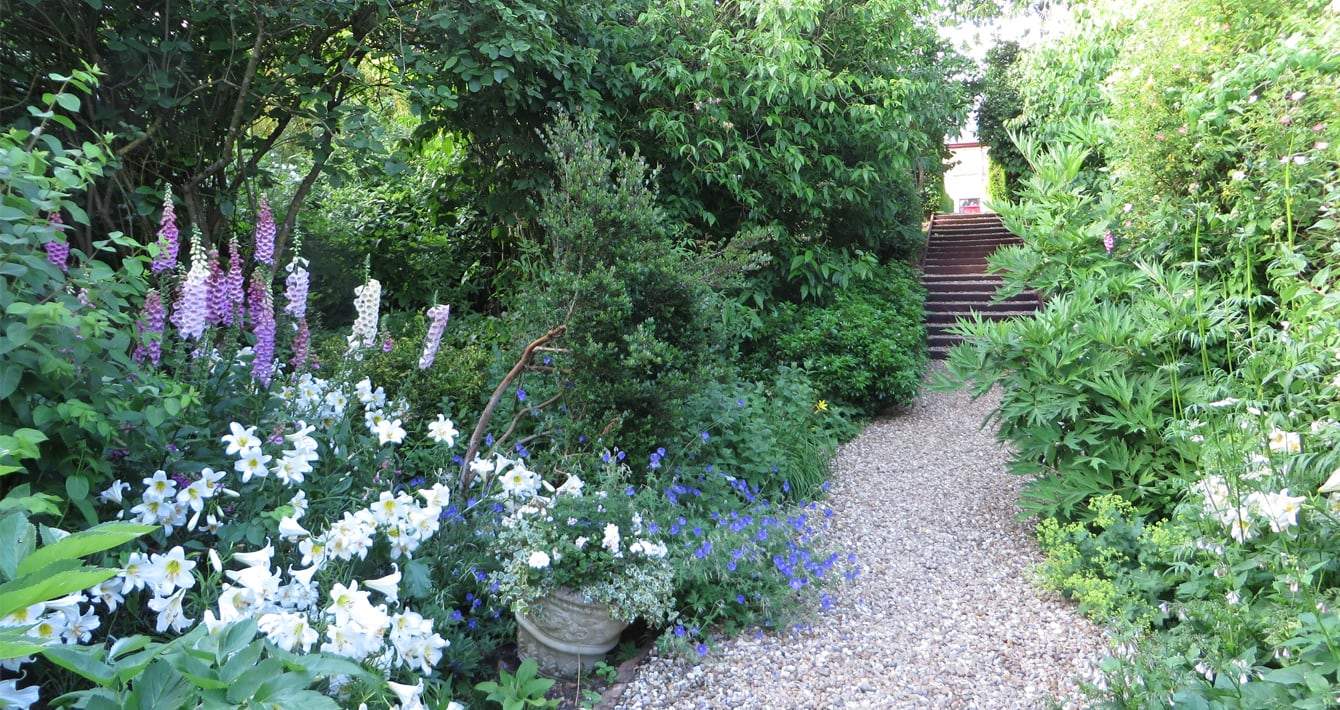 Tous Tous border Image